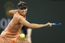 关于莎拉波娃在雄鹿比赛中高光表现，败北引发热议！的信息